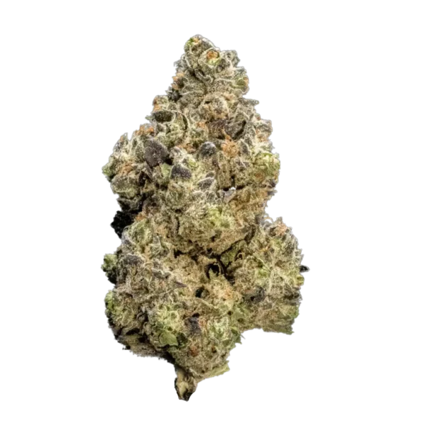 Buy Cali Raisin Strain