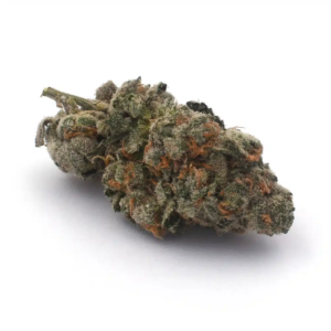 Buy White ThunderFuck Strain