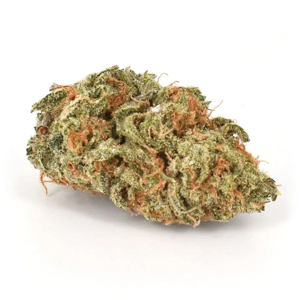 Buy Papa Kush Strain