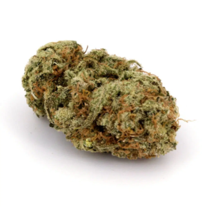 Buy Ben Berriez strain