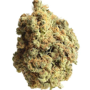 Buy Jack Herer Strain